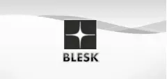 Ювелирная компания «BLESK»